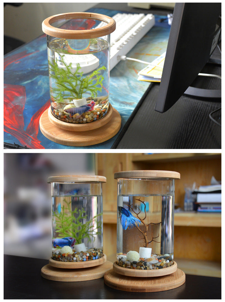 Small Glass Aquarium with Bamboo Base