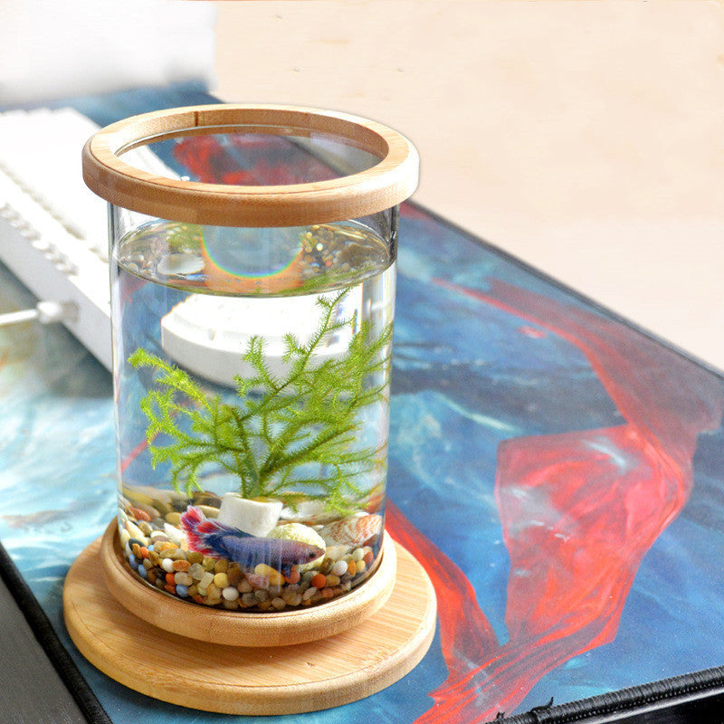 Small Glass Aquarium with Bamboo Base