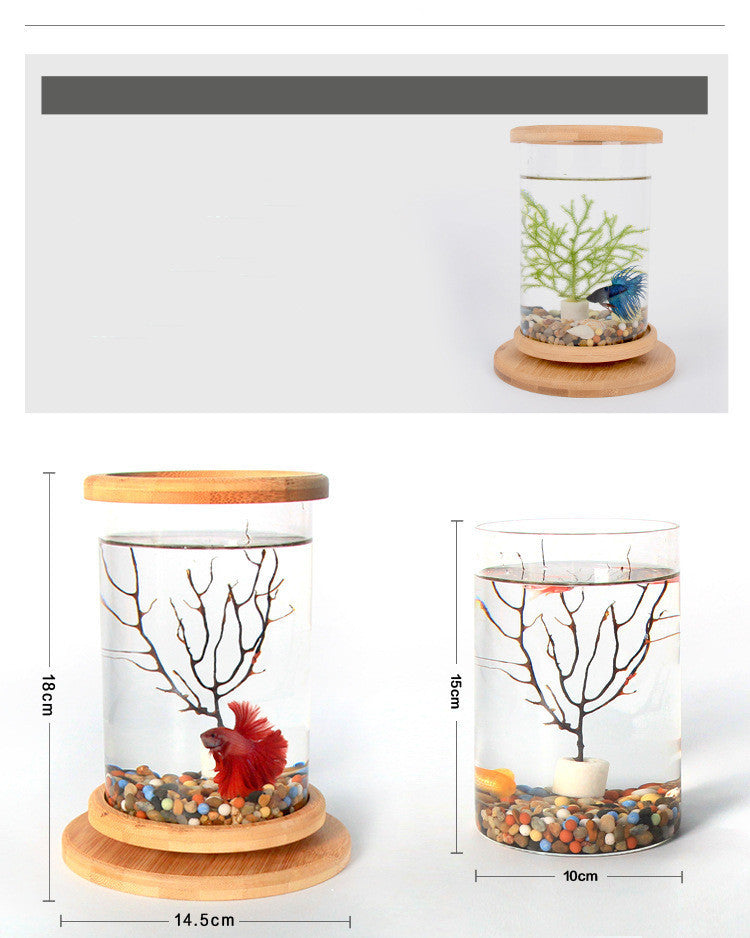 Small Glass Aquarium with Bamboo Base