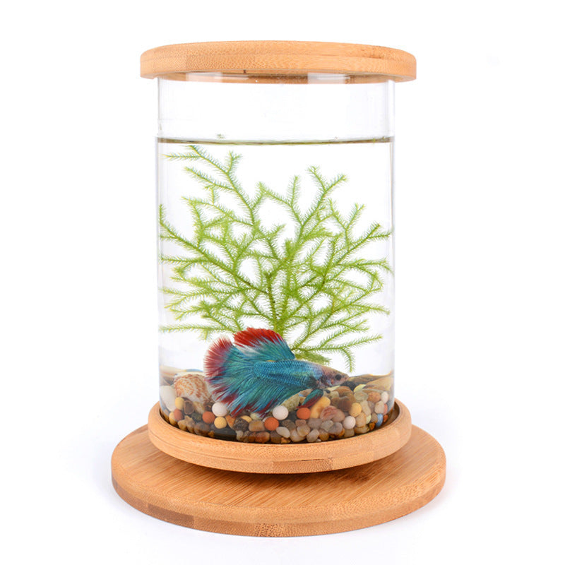 Small Glass Aquarium with Bamboo Base