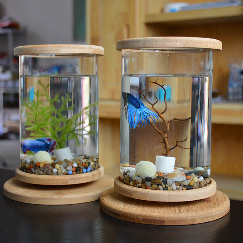 Small Glass Aquarium with Bamboo Base