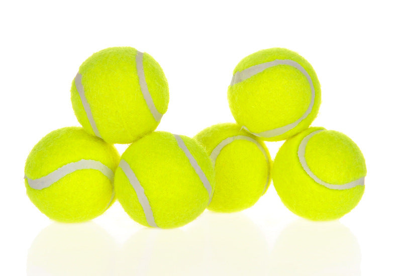 Automatic Interactive Ball Launcher for Dogs