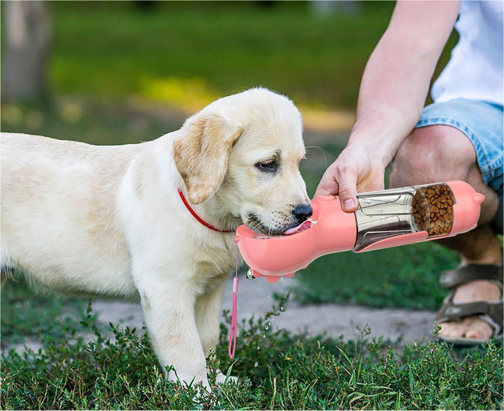 3-in-1 Pet Water Bottle Feeder