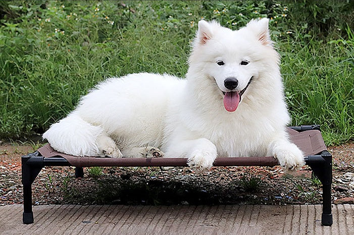 Moisture-Proof Pet Bed