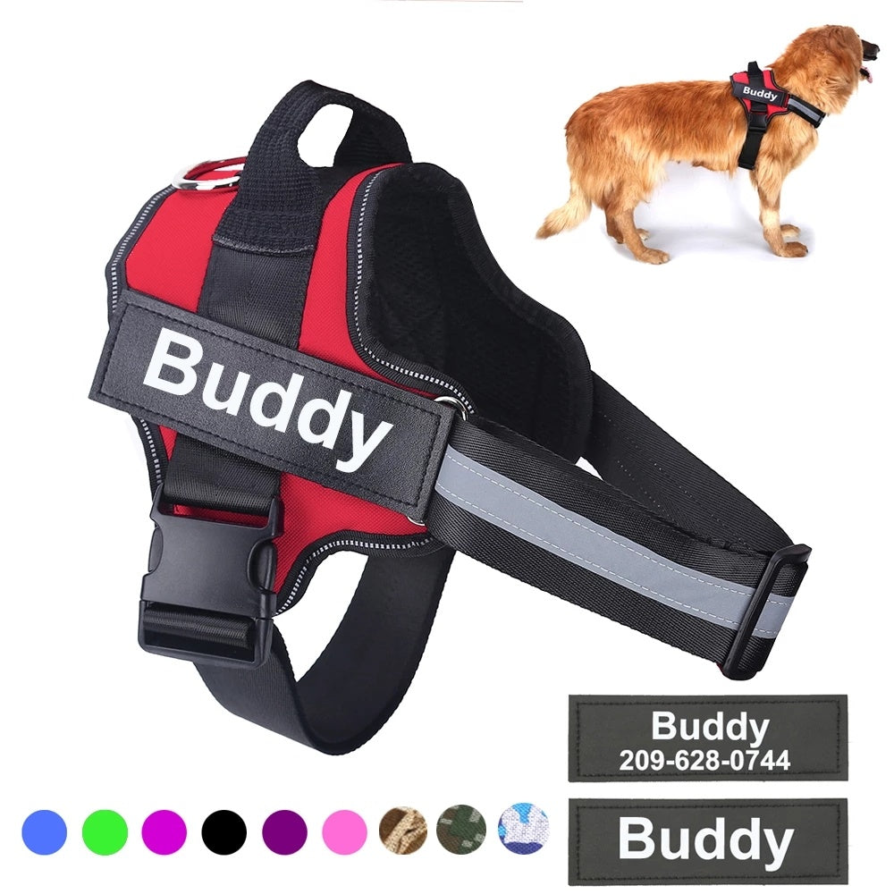 Personalized No Pull Dog Harness