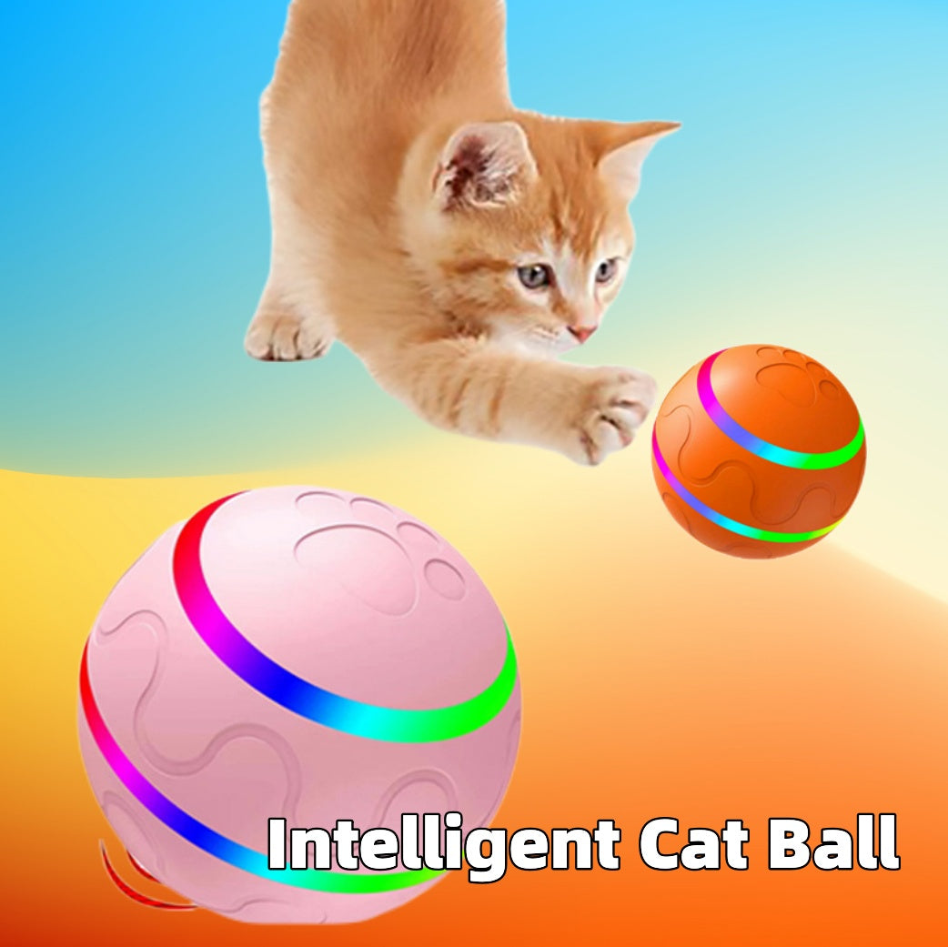 Wicked Ball Cat Toy